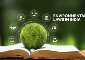 Environmental Law in India: Balancing Development and Conservation