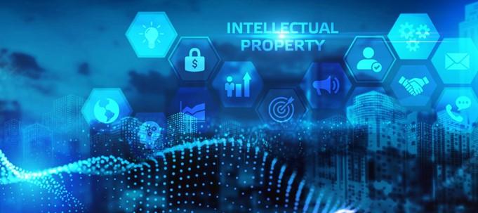 Intellectual Property Rights in the Digital Age